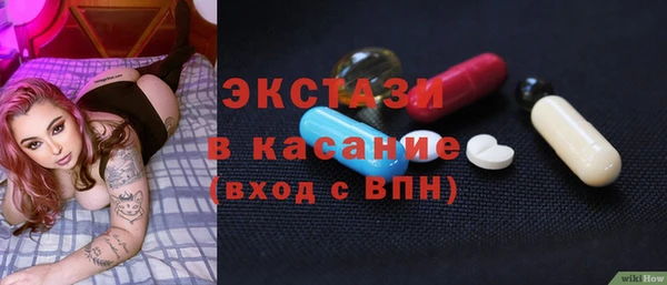 индика Краснотурьинск
