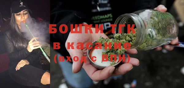 индика Краснотурьинск