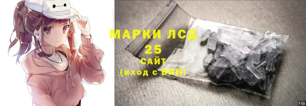 индика Краснотурьинск