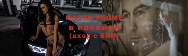 индика Краснотурьинск