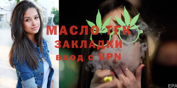 индика Краснотурьинск