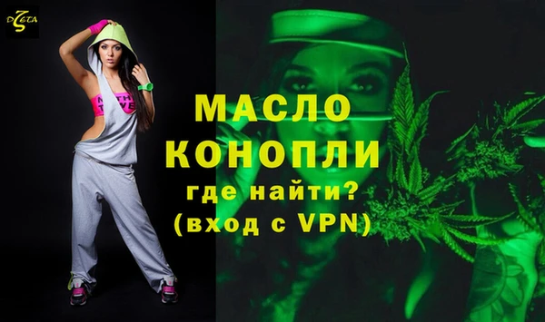 индика Краснотурьинск