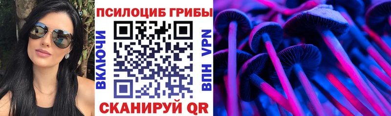 гидра ссылки  Подпорожье  Псилоцибиновые грибы мухоморы 